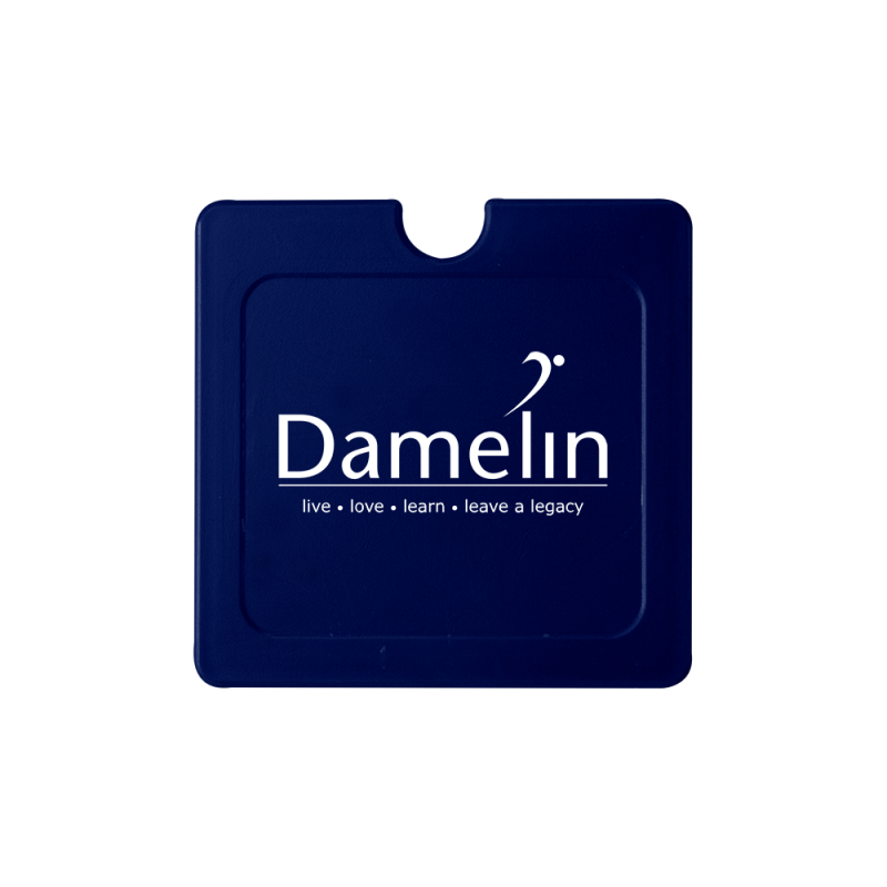 Square License Disc — Bagazio Promotions
