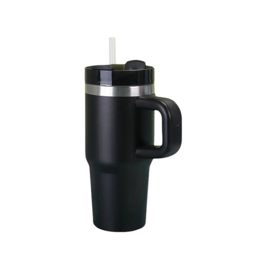 450ml Insulated Water Bottle with Handle and Straw