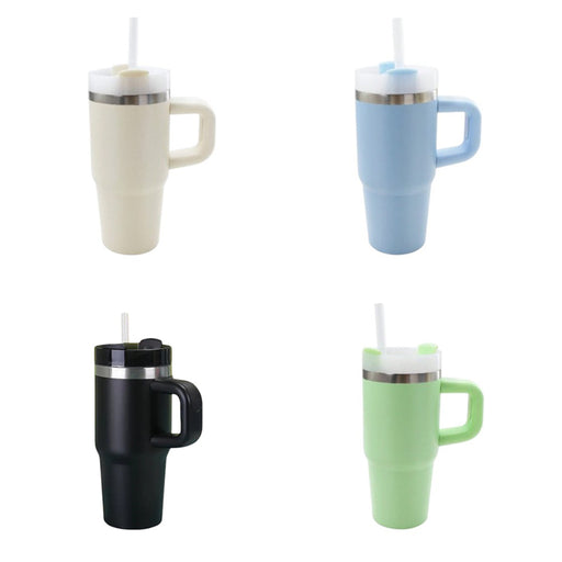 450ml Insulated Water Bottle with Handle and Straw