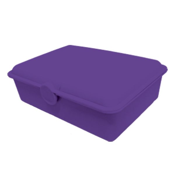 Rectangle Lunch Box