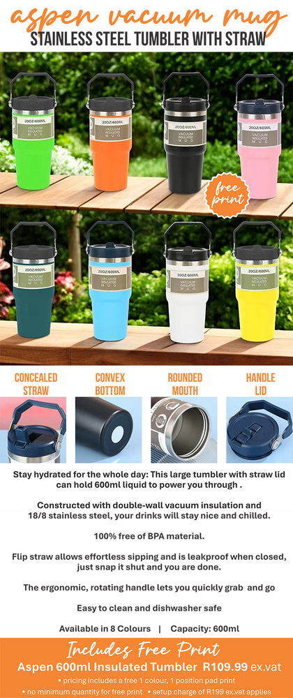 Aspen 600ml Insulated Tumbler