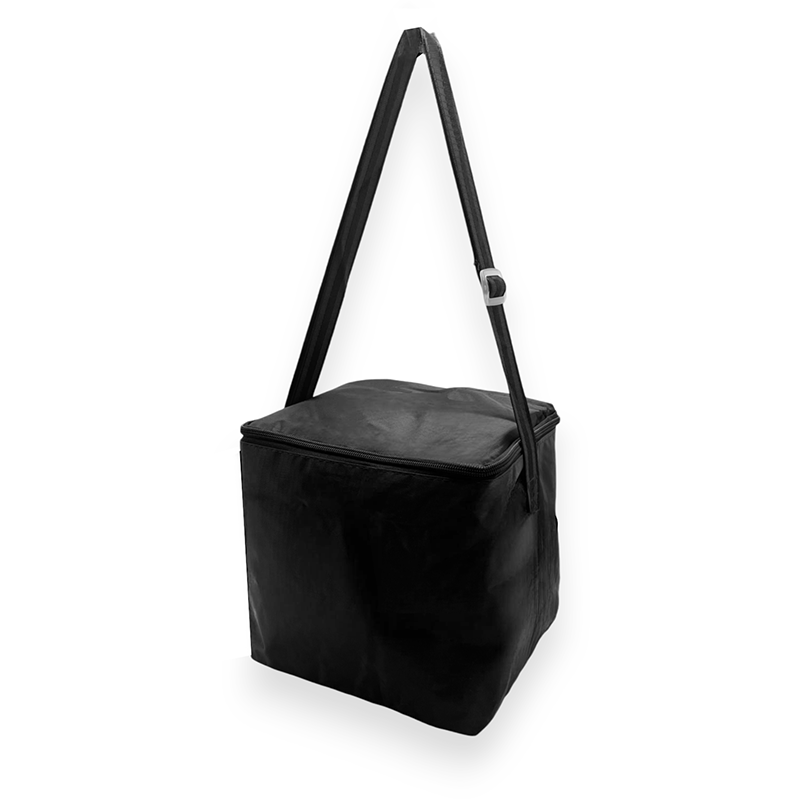 Arniston 12 Can Cooler Bag — Bagazio Promotions