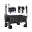 Folding Trolley Wagon