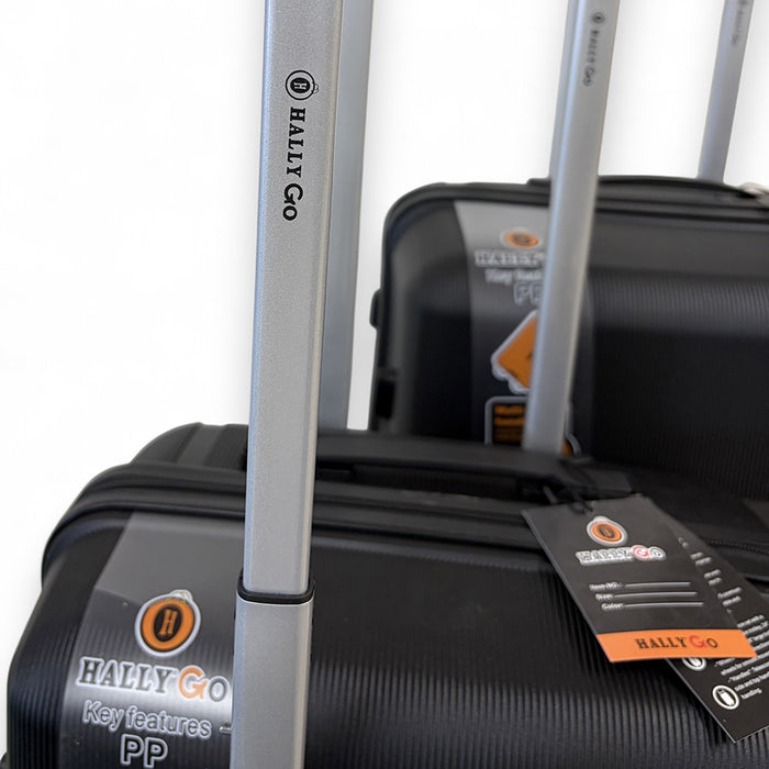 Hally Go 4 Piece Luggage Set