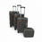 Hally Go 4 Piece Luggage Set
