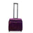 Overnight Laptop Trolley Case